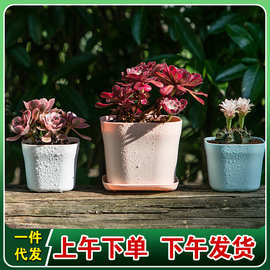 包邮新款北欧ins风PP塑料加厚树脂育苗多肉吊兰方形网红小花盆