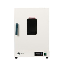 上海DHG-A系列 高溫烘干箱實驗室小型恆溫烤箱電熱鼓風干燥箱