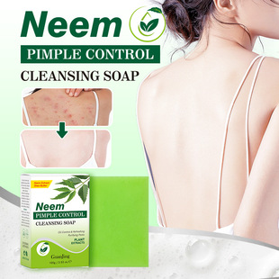 �羳ӡ鬾��������\�������坍�ֹ������ֹ������S���lNEEM SOAP