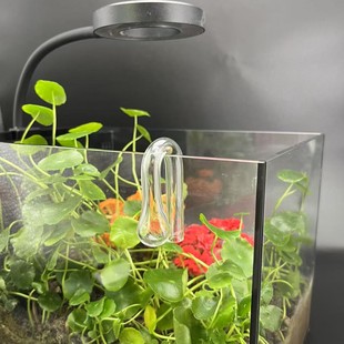 �ݸ�ˮ���������̼CO2ˮ�������O�y��������̼��șz�y���z�yҺ