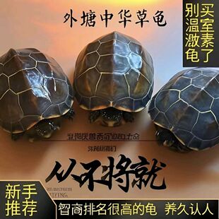 ���A�����L������ī���^�p��ؔ����ˮ��С��������