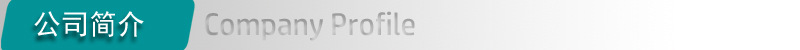 公司简介01