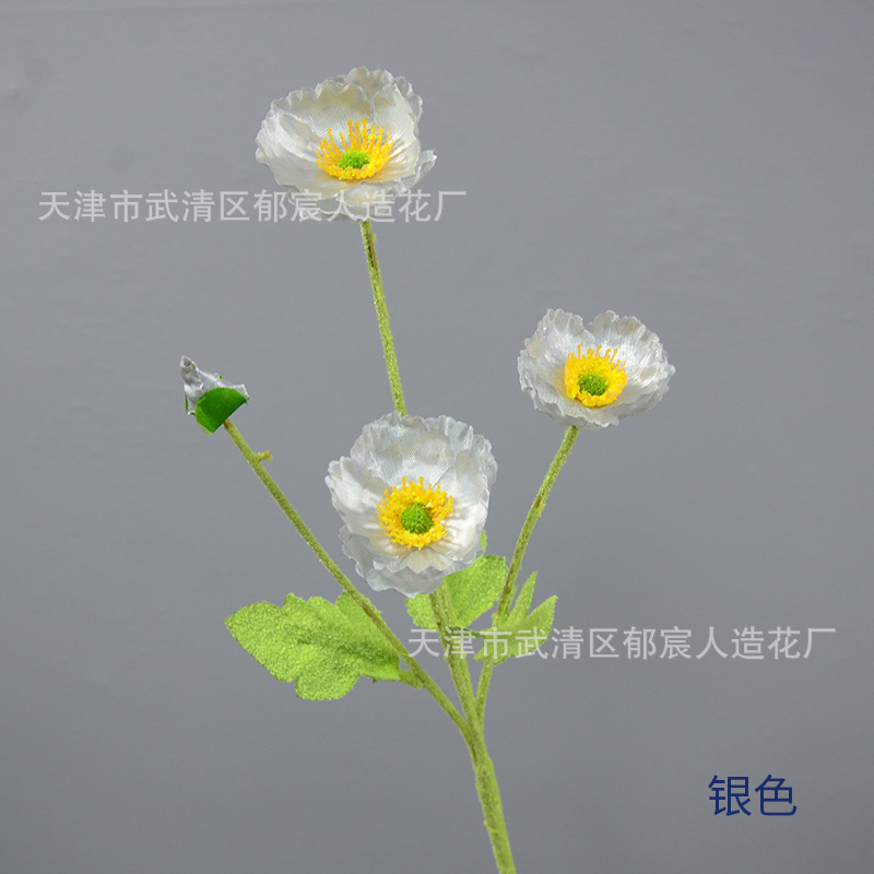 실버