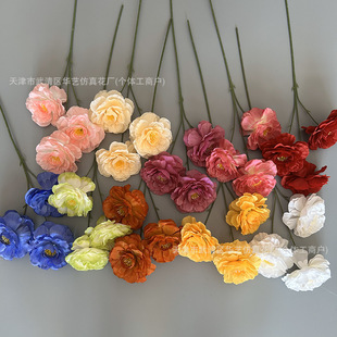 �F؛�\����ĵ�����滨��Y���b�·�������b��Ƶ�Ҿ߲�������