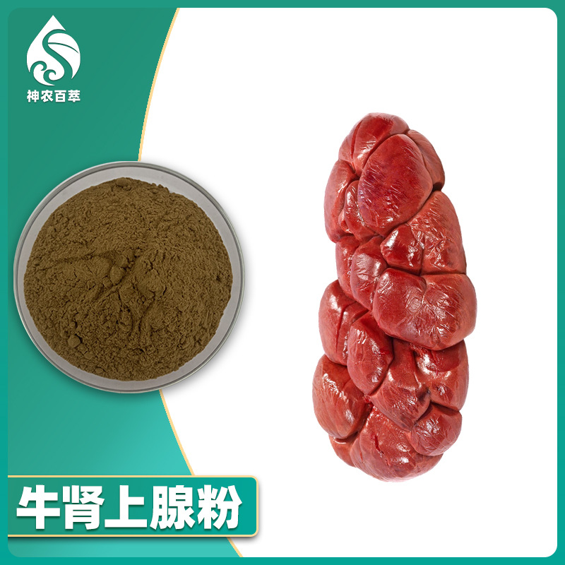 牛肾上腺粉 牛肾去脂粉 牛肾提取内脏粉 牛肾上腺去脂粉 牛器官粉