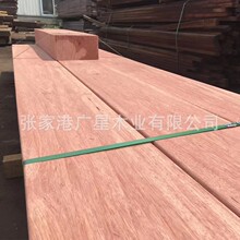 tԭľľͥԺľϵذľľSlA