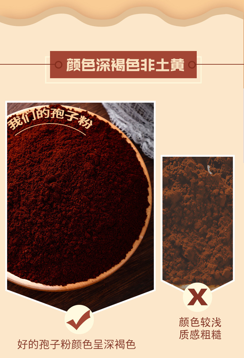 Lingzhi Spore Powder Ling Zhi Fu Zi 250g Bottle Broken Wall Ganoderma Powder Daily Herbal Wellness in use