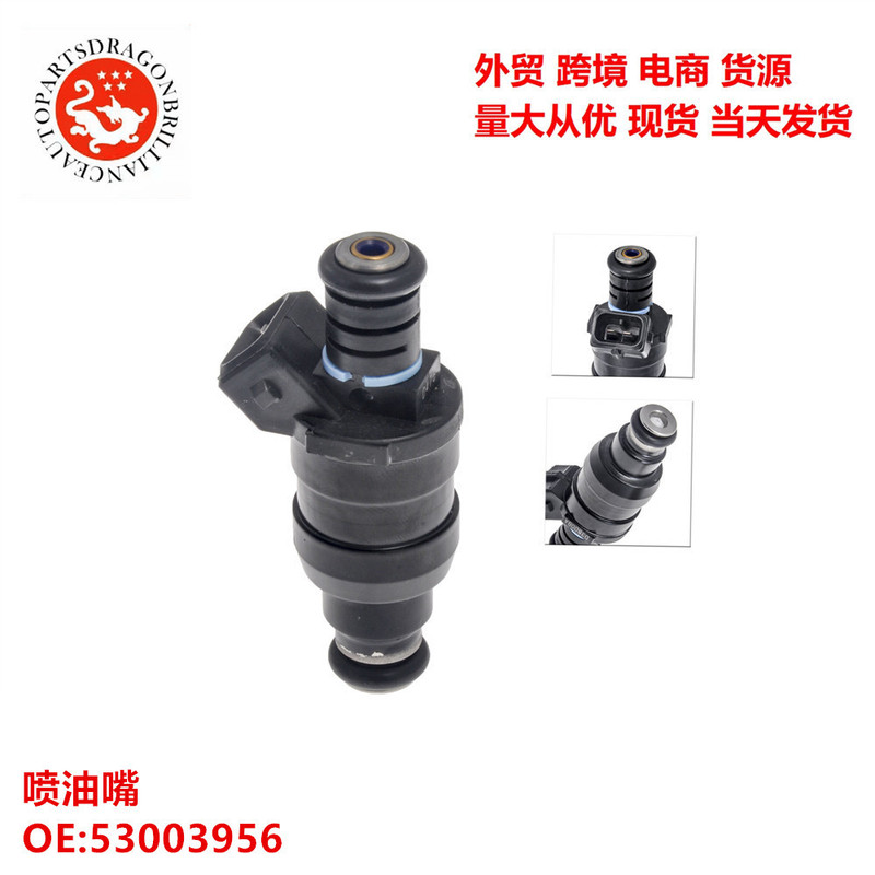 Auto Parts Fuel Injector 53003956 12351510 M123 217-250 217250 4g1367