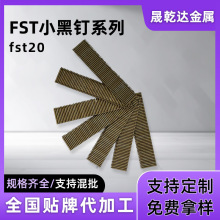 С������_���ßo�^����FST20mm�҃ȵ�픚�Ә���ӲСñ����l