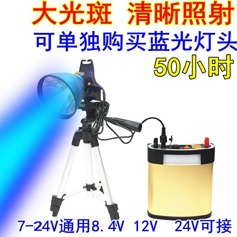蓝光钓鱼灯7V-12V-24V夜钓8.4V蓝光头灯强光大光圈夹电瓶外接灯头