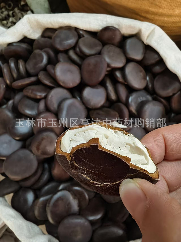 微信图片_20241215143255_副本