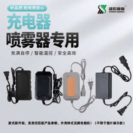货源直供电动喷雾器12v铅酸电池锂电池充电器农用充电器可定制