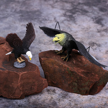 ���l��̖��������ģ�����z�����w����߽����i�[�O�b��B��