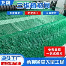 ���Sֲ�������W�Gɫֲ���W�o�¹����@�־G���G���W�|���Sֲ���W