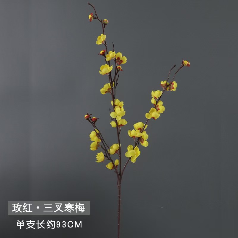 작은 세 갈래 매화 노란색