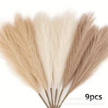 �羳50cm�β�����˹�� ���滨������Ȕ�ٻ� �Ҿӻ�c�b����JȔ