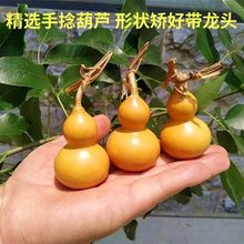 ��Ȼ��ƷС���J���^�����������Jͨ؛���J�������������J��R7