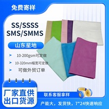 面膜基布PP纺粘无纺布 15克柔软亲水本白芝麻点 山东工厂跨境货源