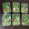 A box of green flowers, 7-8 kinds of flowers, random varieties