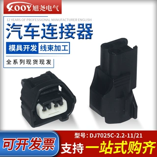 厂家供应 2孔汽车连接器适用喷油嘴接插件插头 DJ7025C-2.2-11/21