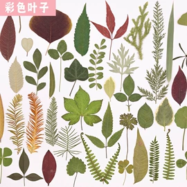 干花