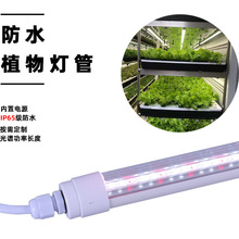 T8��ˮֲ�����L�� IP65 ؛�� ����ˮ�� �F����ֲ�� �~�� �a��