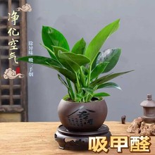 ��荾G��������ˮ��Gֲ�͏d�k���҃ȃ����՚�����ȩ