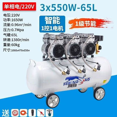 Compressor 380V Oil-Free Silent Hava kompressorları - professional-air-compressor-choose-fengbao-and-you-wont-go-wrong-thick-copper-wire-1650w-65l-single-phase-power