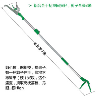 �����{3�׸ߙn�X�Ͻ��֦ժ������֦�� �߿ռ� �L֦����֦��W2668