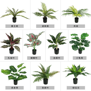 �����辰�͏d�b�������ϼٻ��[�O����ֲ��С��������GֲС����