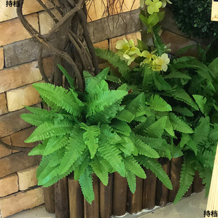 ~ӴͻcGֲݲ˹ ٘~GɫbֲާE18