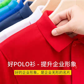 Polo衫短袖翻领工作服工衣文化广告衫活动T恤定制印logo刺绣定做