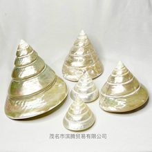 天然海螺贝壳小塔螺珍珠鱼缸造景水族家具摆件饰品寄居蟹海洋