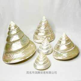 天然海螺贝壳小塔螺珍珠鱼缸造景水族家具摆件饰品寄居蟹海洋