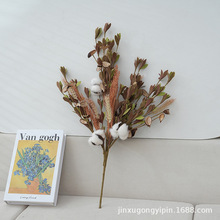 ¿޻Ƶ[ɻG~޻֦ 滨RdҾb