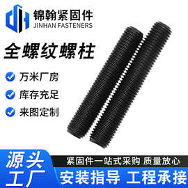 化工全螺纹螺柱 35CrMo 10.9级 20634执行标准 化工双头螺柱螺丝