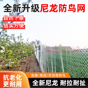 �������B�W��W���@���o�W������������r���Bֳ�~������W����B