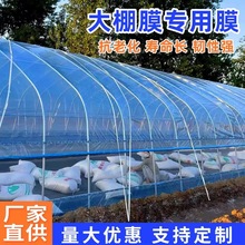 POĤrBֳĤ߲˴ĤĤ͸ǿϻoĤpe