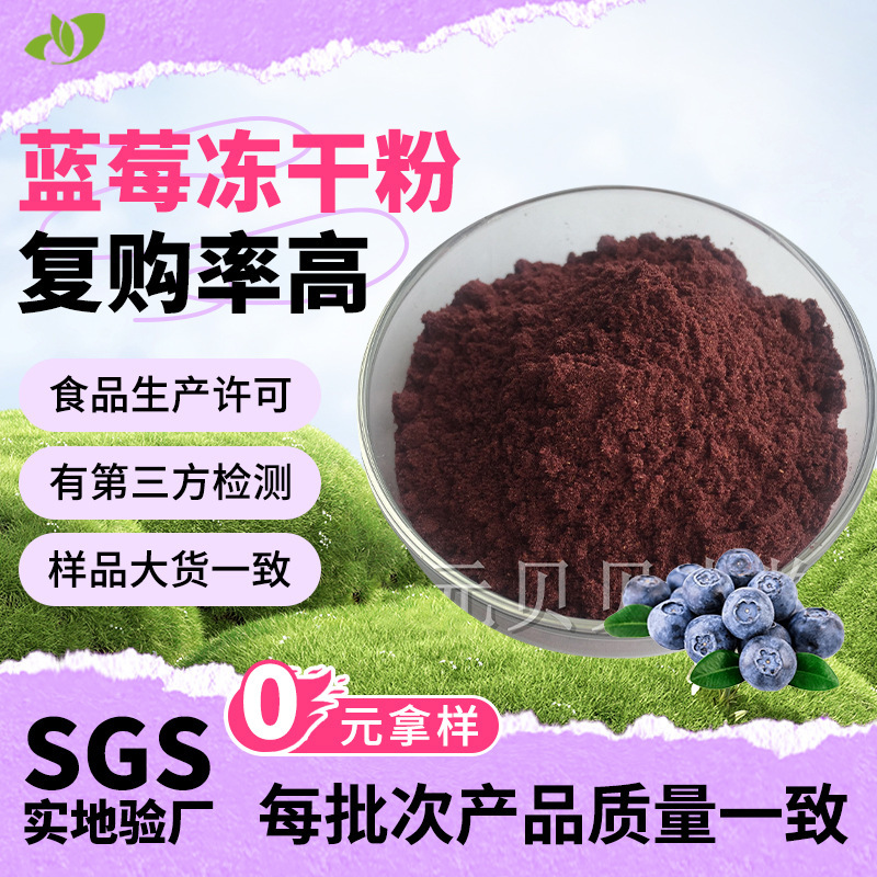 Freeze-Dried Blueberry Powder with Complete Quality Assurance, Low-Calorie Meal Replacement Ingredient, Blueberry Extract, Sufficient Stock Available