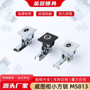 MS813  ���D��С���i���^�i AE���T�i �����i���I�Cе�O���T�i