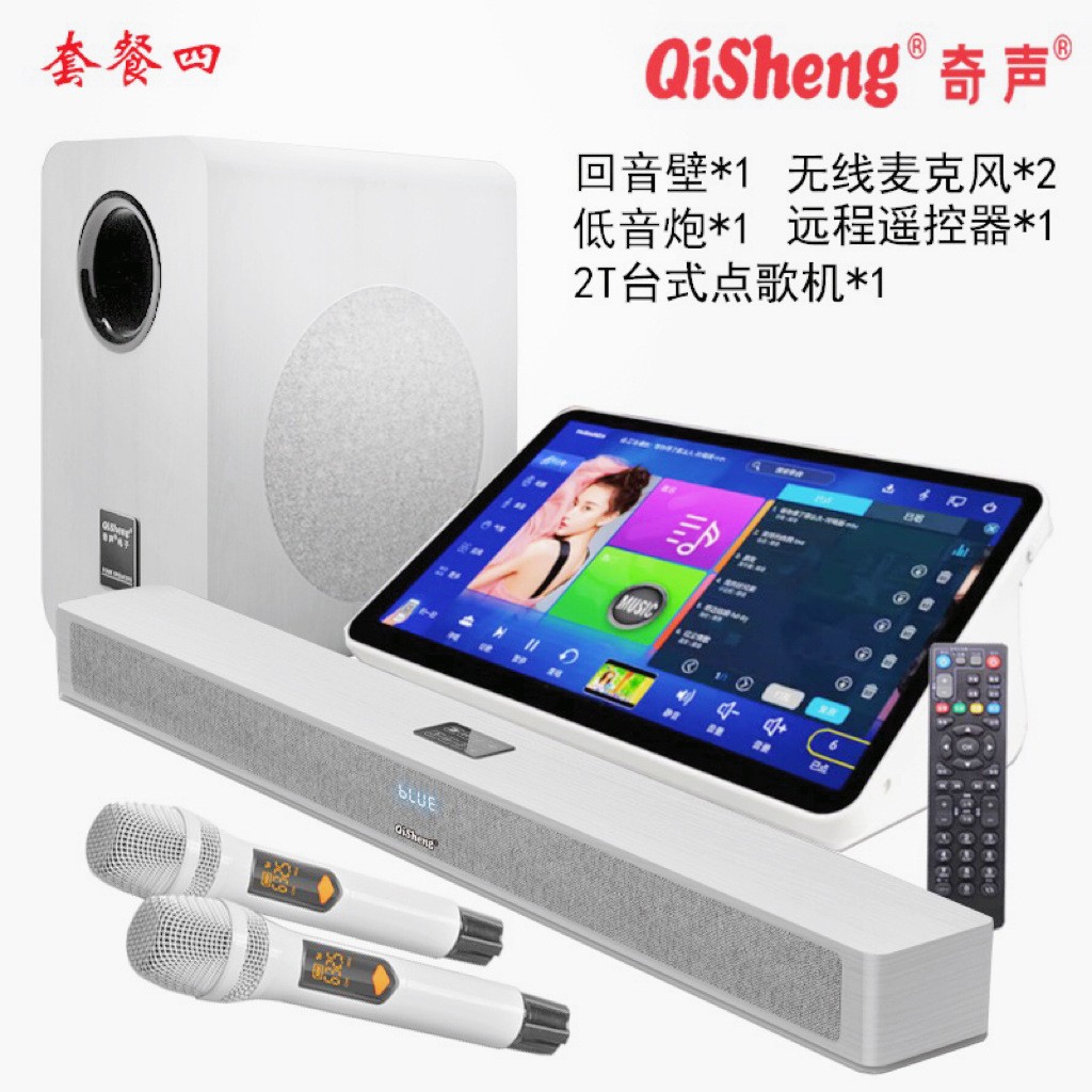 Qisheng Echo Wall Audio Home Living Room Karaoke Home Theater Ktv Tv Projector Subwoofer Karaoke Machine