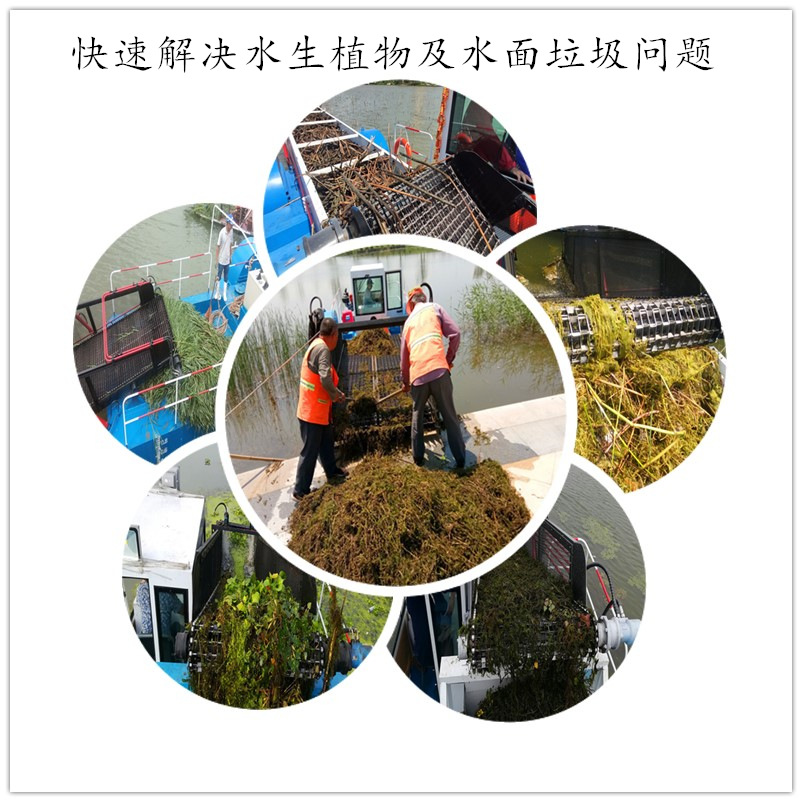 initpintu_副本