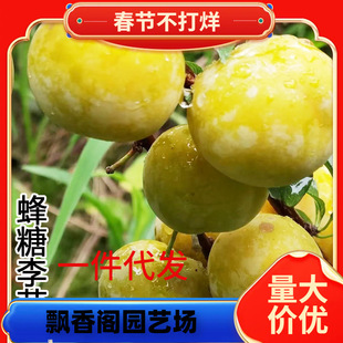 һ�����l�������Ә����F�����R���A��Ʒ�Nˮ��������̨�����Ϸ�