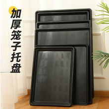 �����бP�Ӻ���ʺ�бP����\�бP���\�ױP�u؈�û\�ӽӼS�P���l