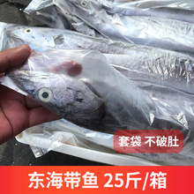 东海本地新鲜速冻小眼睛油带鱼整箱批发25斤装无冰不破肚工厂直发
