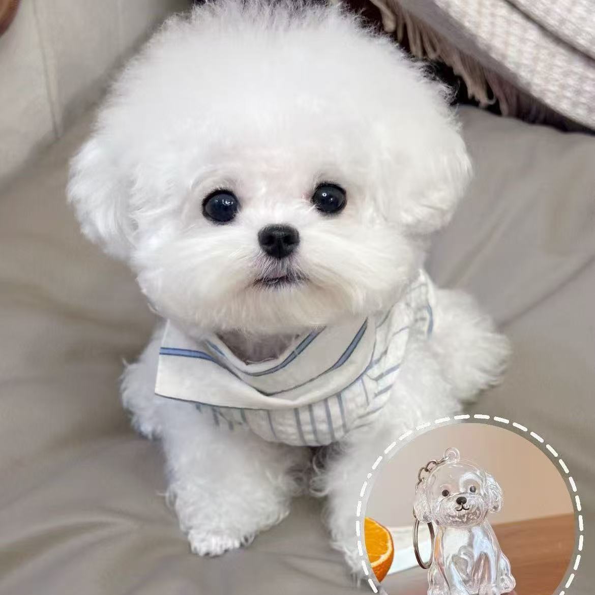 Perlo de mascota conmemorativo llavero colgante lindo perro colección de pelo transparente de perro grande forma de llave creativa