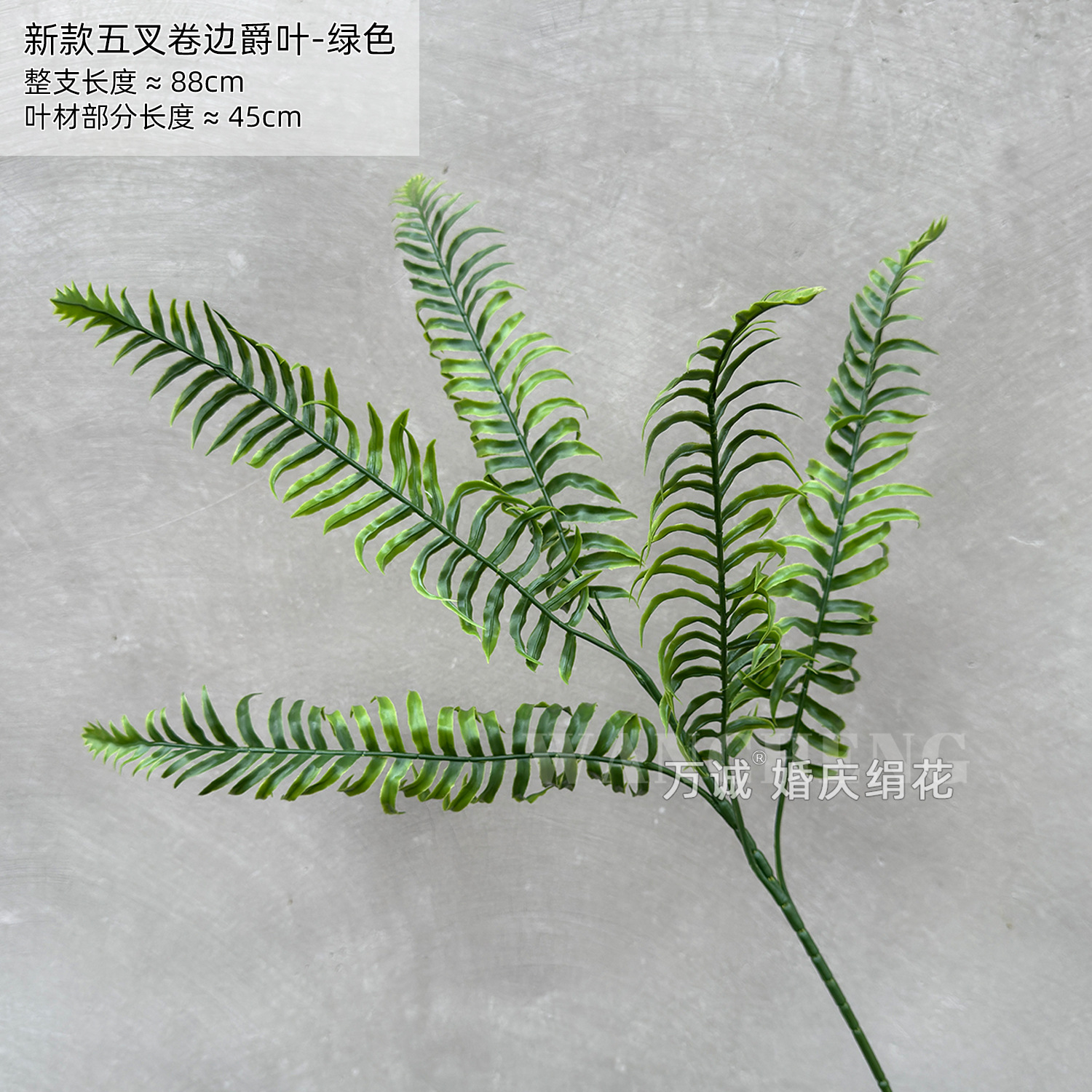 New five-pronged curled fern leaf green