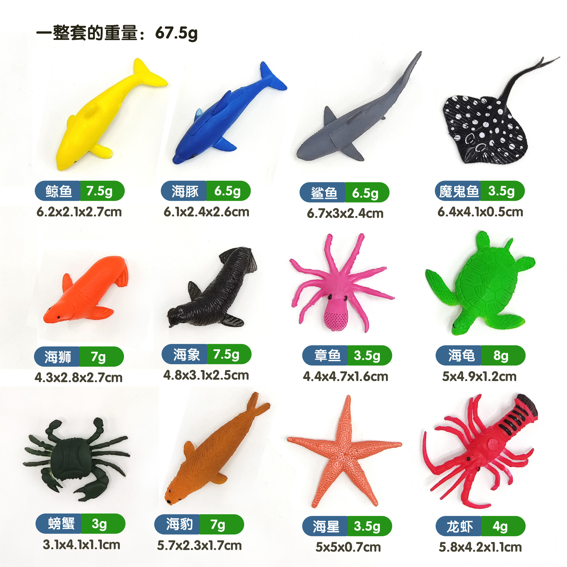 12只迷你海洋尺寸图