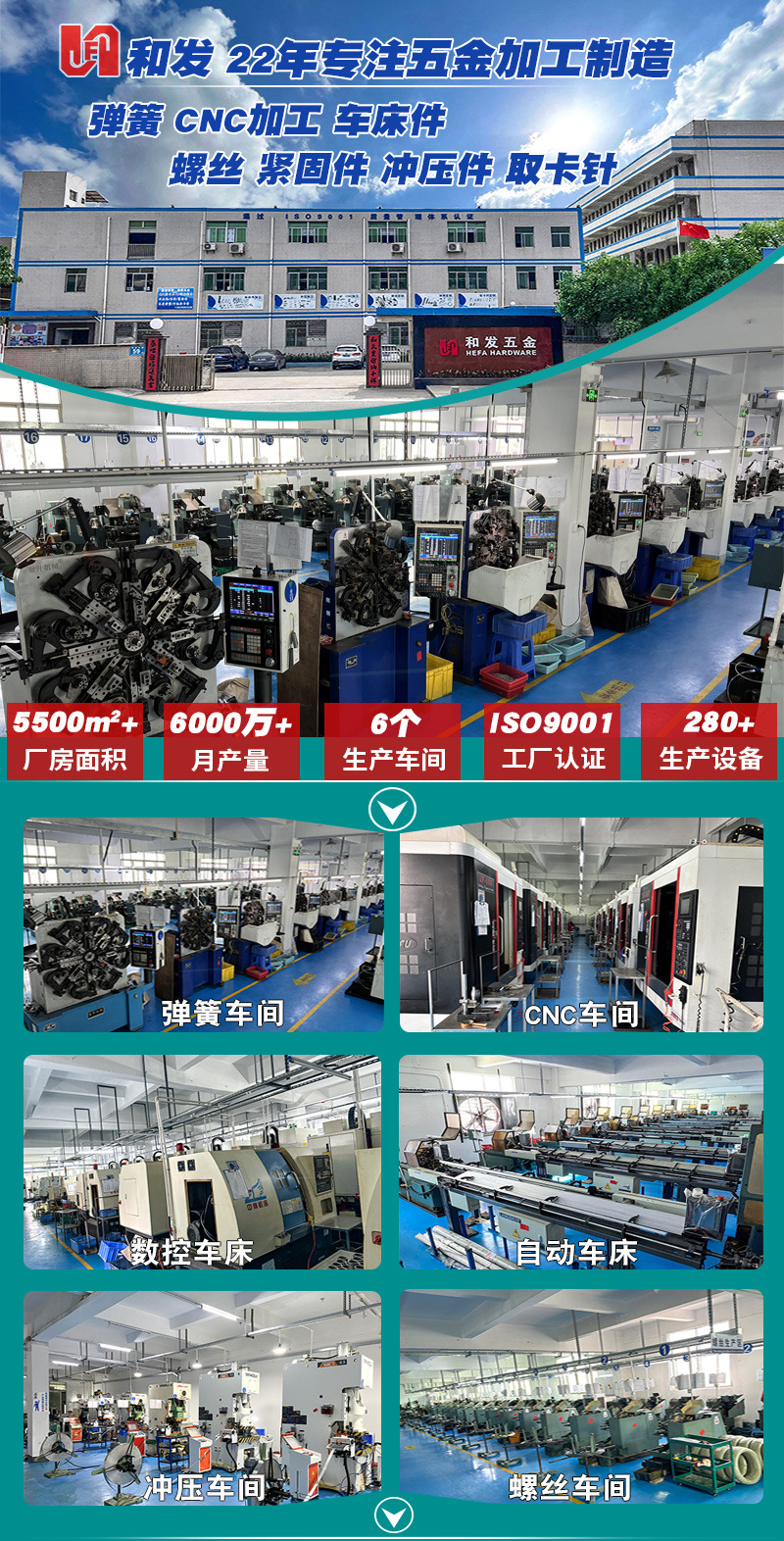 1Company Spring Introduction