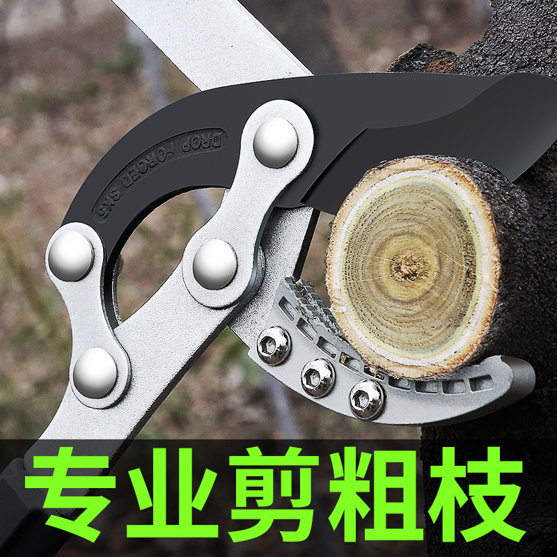 Pruning Scissors Fruit Tree Pruning High Branches Thick Branches Flowers Dali Huiyuan Province Power Art Shearing Forest Knife